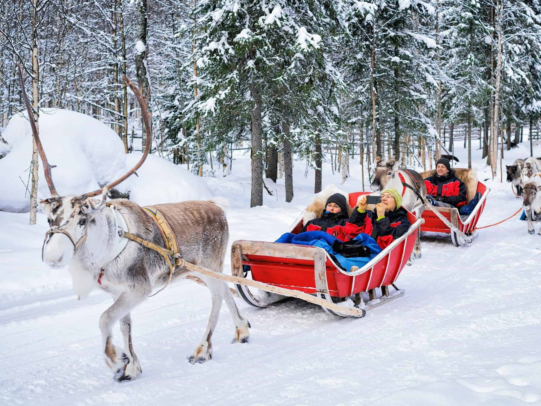 Reasons to Visit Lapland at Christmas